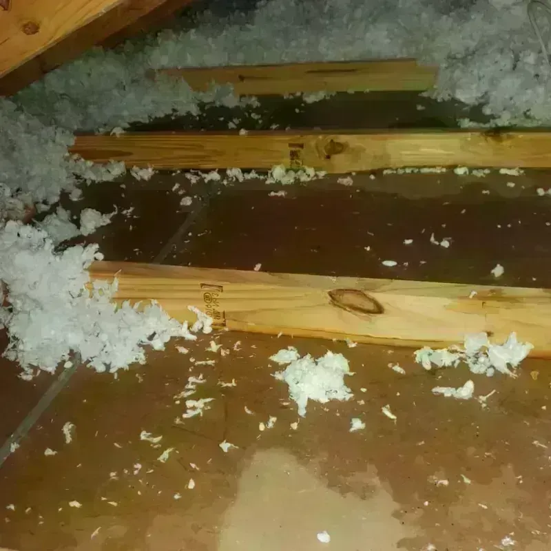 Attic Water Damage in San Miguel, NM