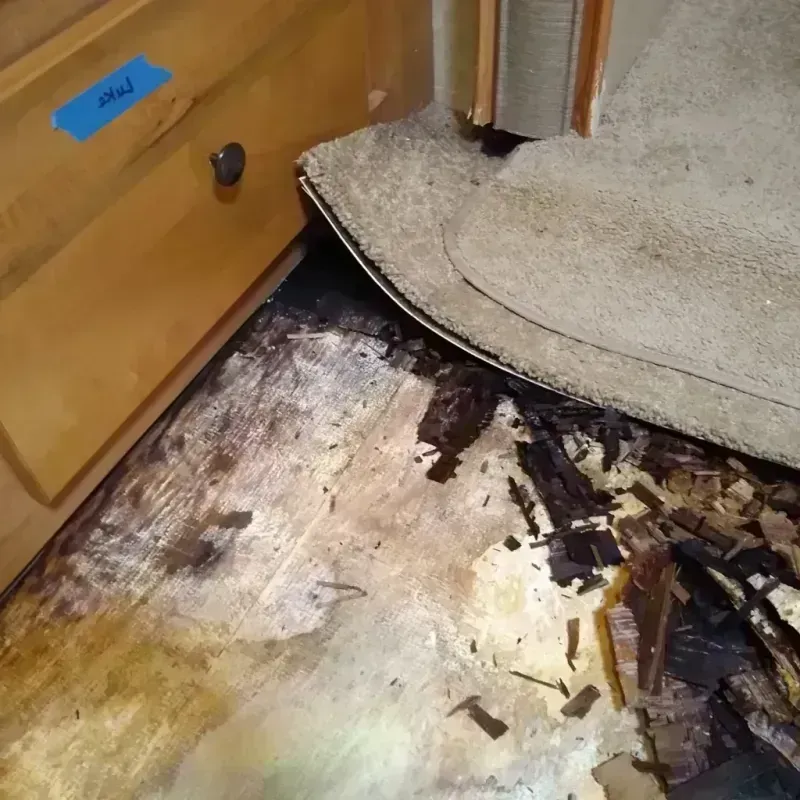 Best Wood Floor Water Damage Service in San Miguel, NM